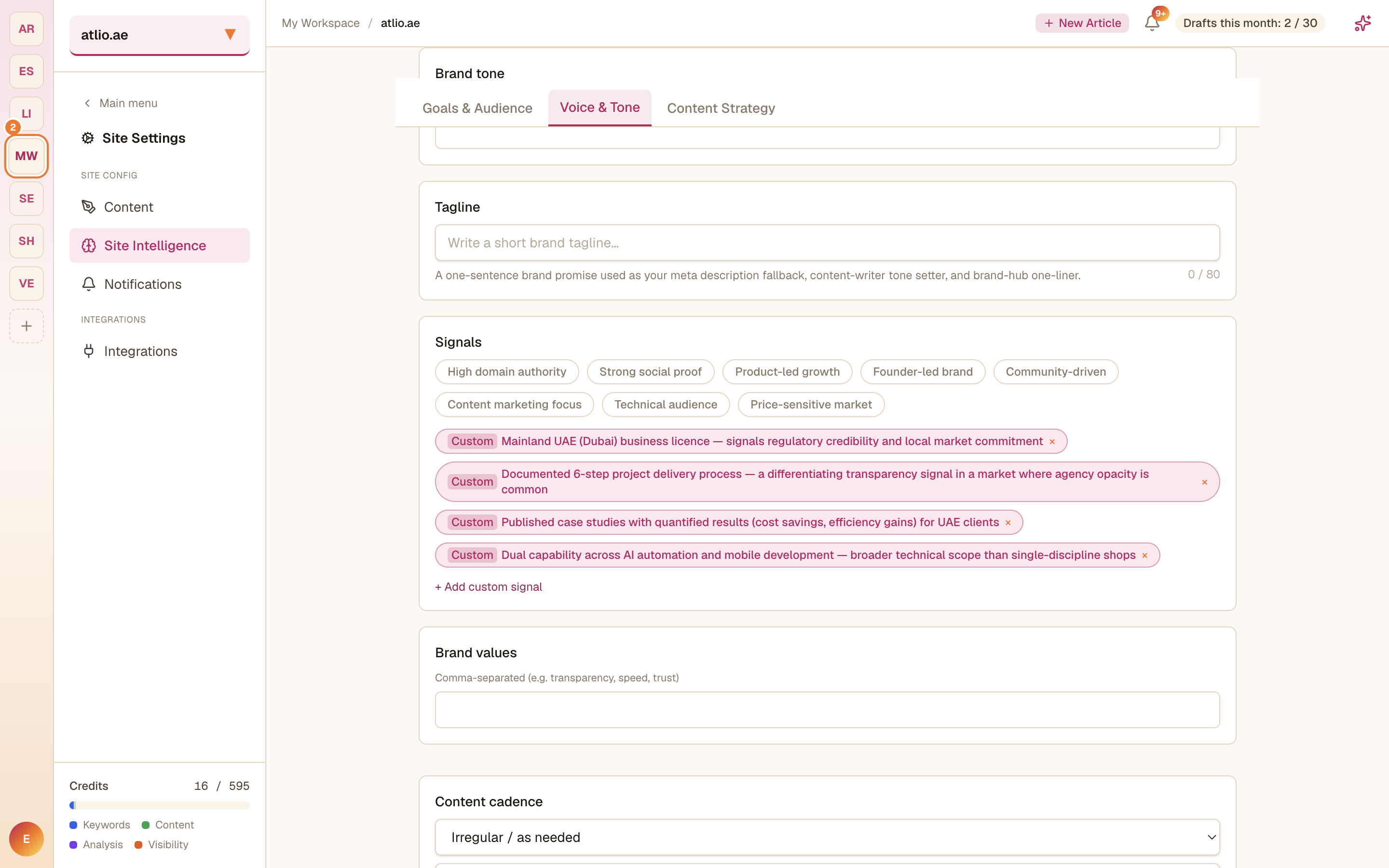 The Site Intelligence brand profile with Goals & Audience, Voice & Tone, and Content Strategy